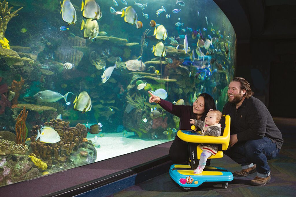permobil Explorer Mini menina aquario